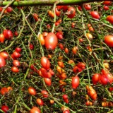 1609F 034 Spree und Havel